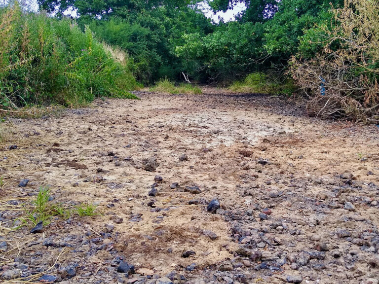 Le gazole tire la baisse des émissions françaises en 2026
